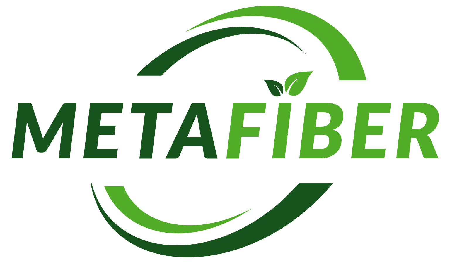 Metafiber